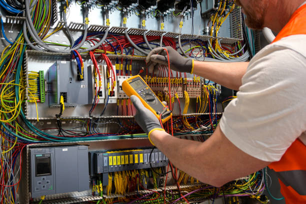 Best Electric Panel Repair  in Unicoi, TN